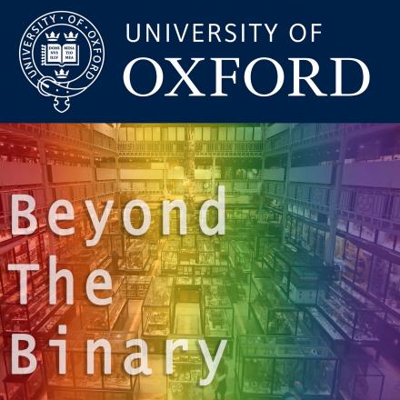  Beyond the Binary: Queering and Questioning Collections and Displays at the Pitt Rivers Museum