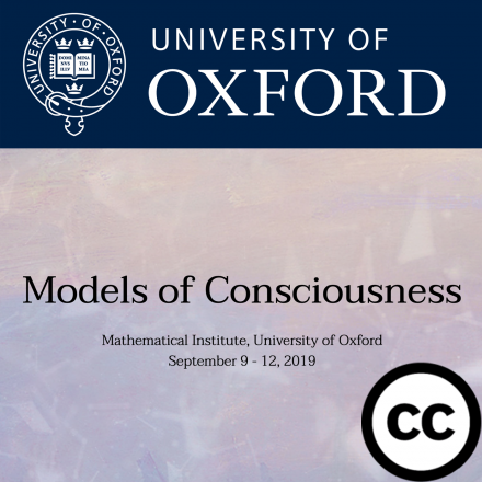 Models of Consciousness